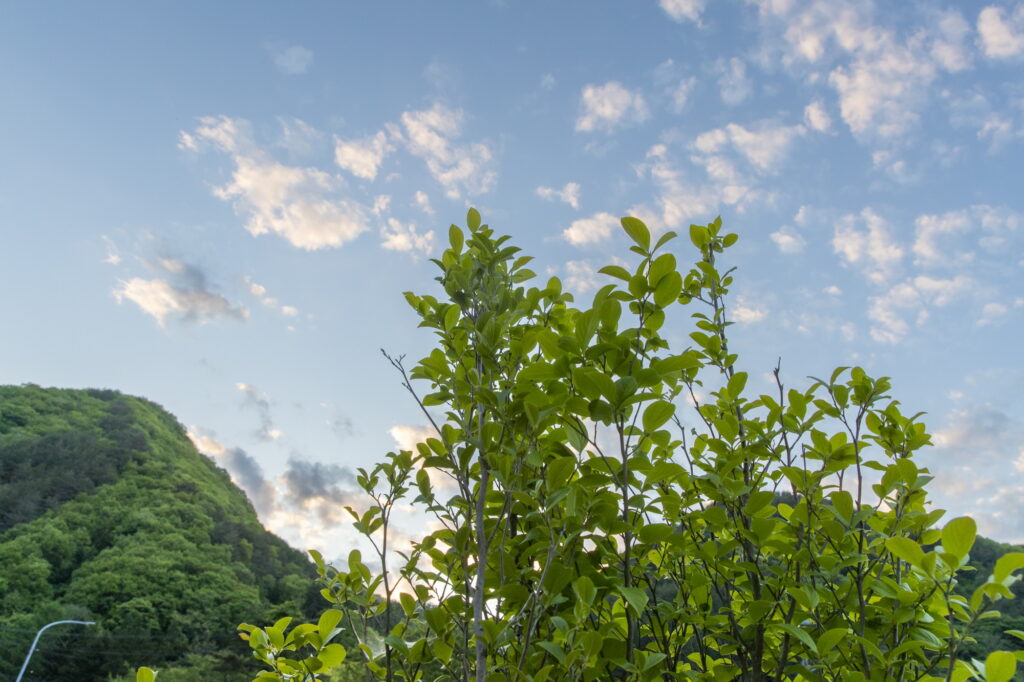 鹿教湯温泉で足湯を楽しむ自然派カフェ ～鹿教湯文殊テラス～