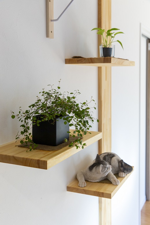 ネコと遊び心と暮らす　大改造リフォームの住まい