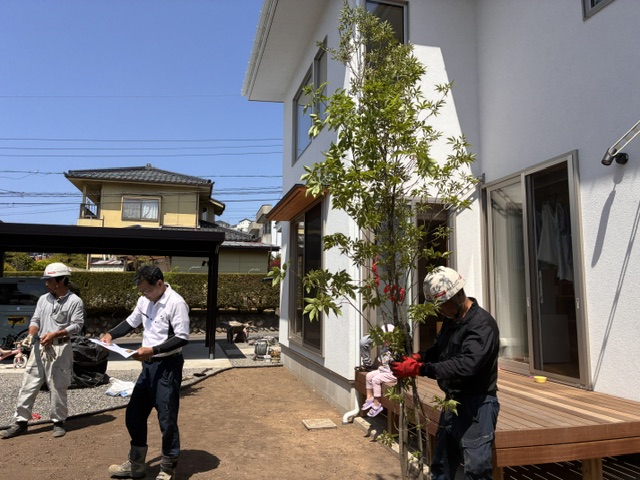 IMG 9563 (2)