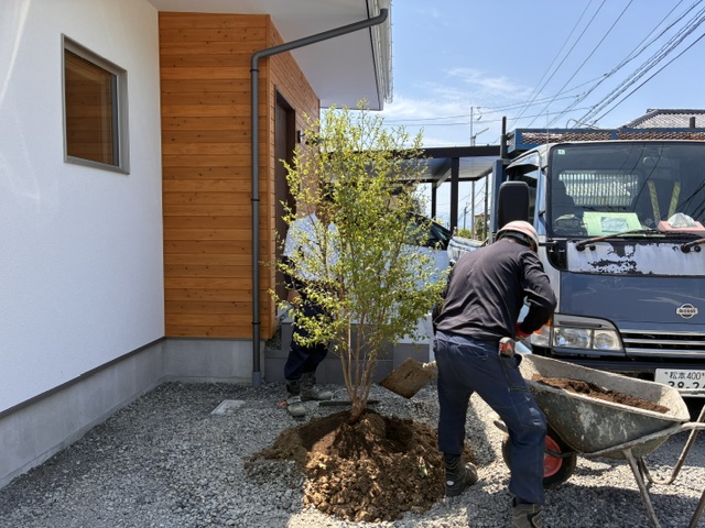 IMG 9573 (1)