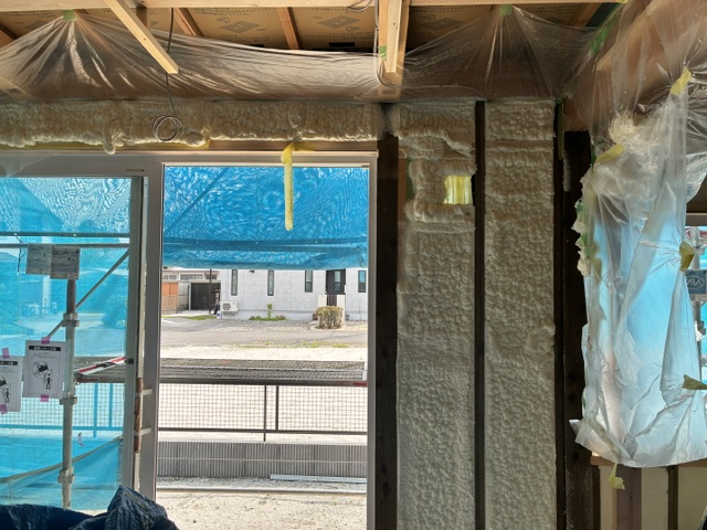 Image2 (60)