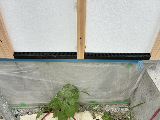 Image2 (62)